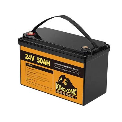 24V 50Ah 60Ah 100Ah 200Ah 230Ah 300Ah 400Ah 460Ah Żelazna bateria litowa LifePo4 z BMS