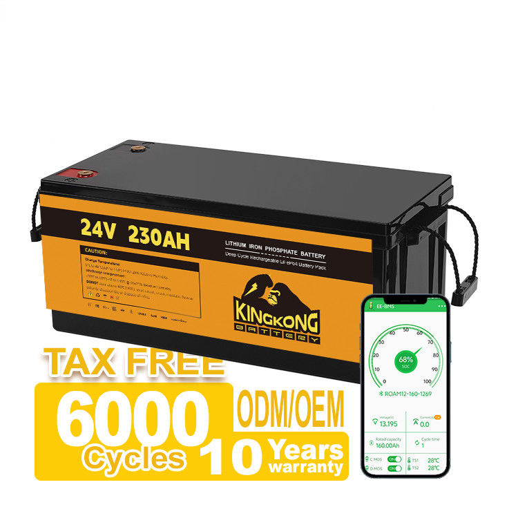 OEM 24V 100AH 200AH 230AH 12V akumulator Li-Ion dla pojazdów samochodowych