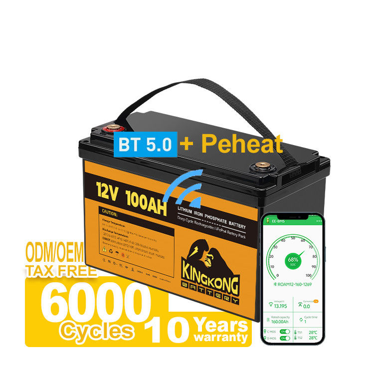 110/120/220/230V Napięcie wyjściowe 12,8V 100Ah 200Ah 300Ah LFP Lithium Ion Battery Pack