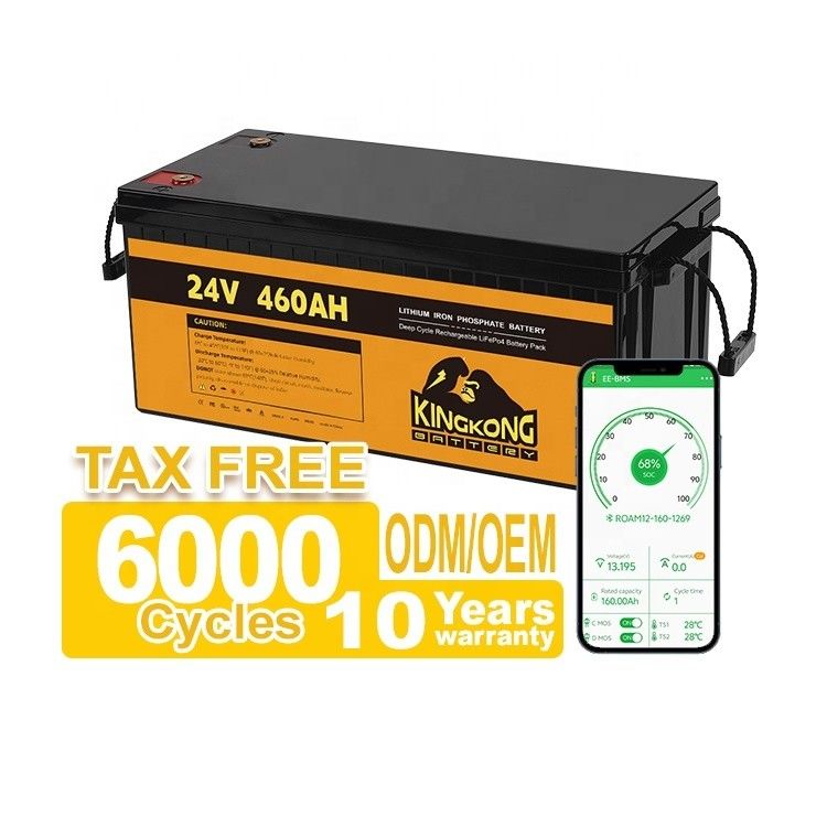 24V 50Ah 60Ah 100Ah 200Ah 230Ah 300Ah 400Ah 460Ah Żelazna bateria litowa LifePo4 z BMS