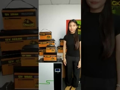 12V 48V 120Ah 150Ah 170Ah 200Ah 300Ah LiFePO4 Litium Ion Battery Pack dla okrętów podwodnych